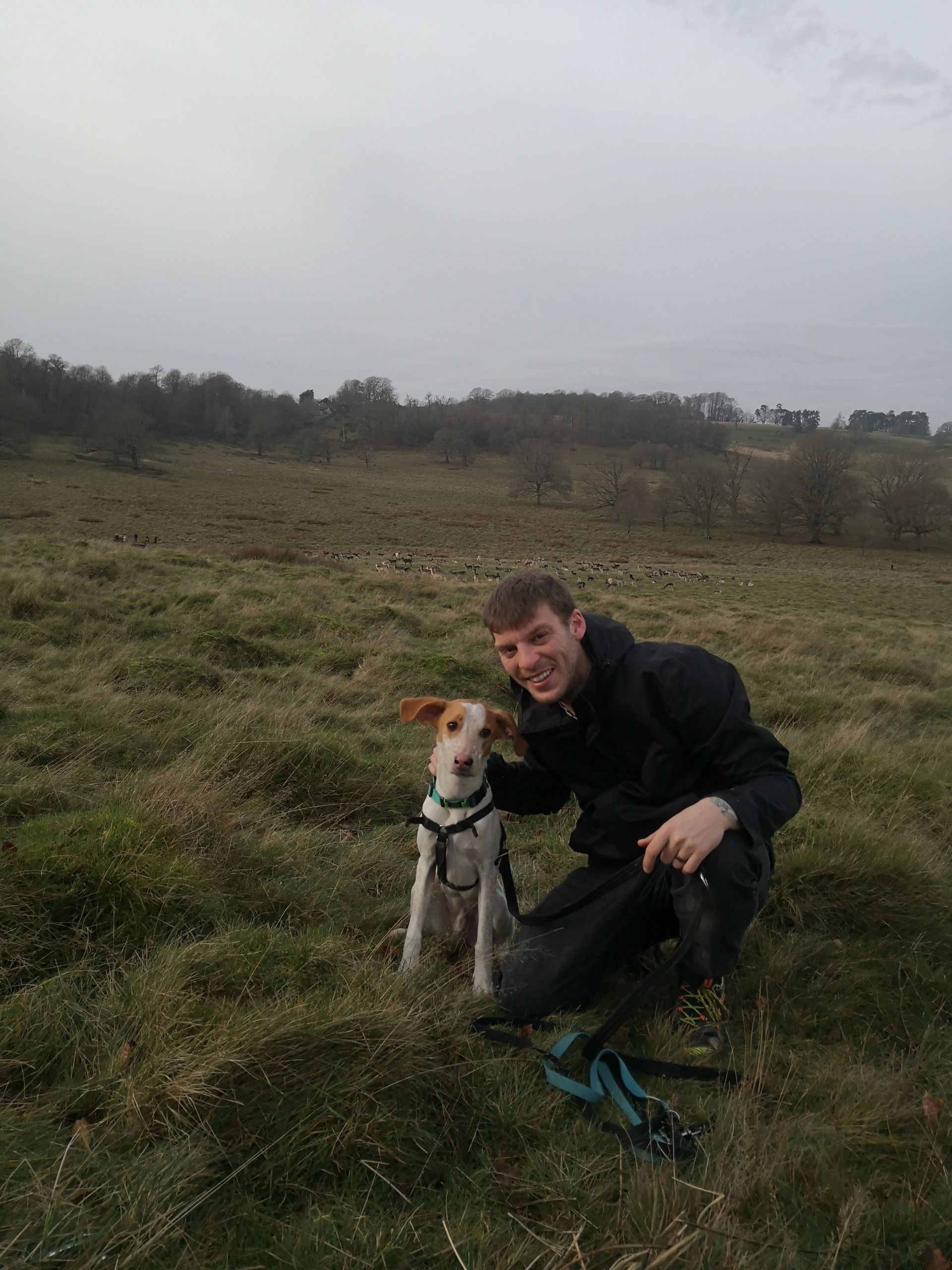 About Us DSW Dog Services